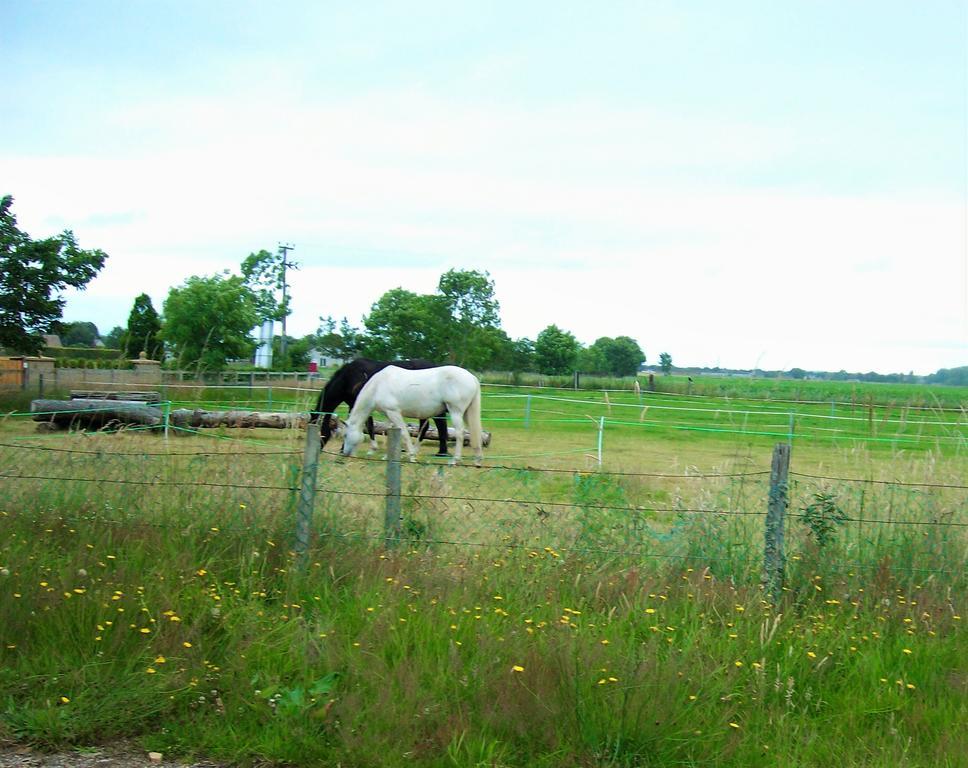 Riverview Country Park Hotel Forres Luaran gambar